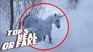 5 PEGASUS Caught on Camera in real life