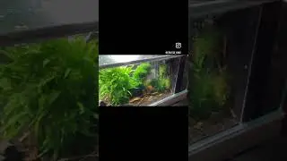 Amazonasbecken.eu