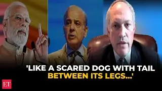 'Like a scared dog with tail between its legs&hellip;': Ex-Pentagon Official slams Pak over Pahalgam Attack