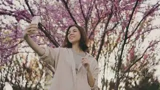 Cherry Blossom Magic: The SO RING Girl's Journey