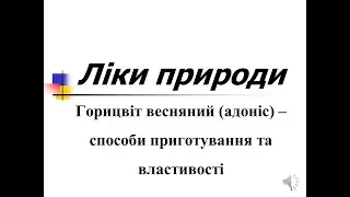 Горицвіт весняний (адоніс) &ndash; способи приготування та властивості