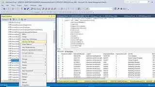 Data Analyst | SQL Server Masterclass | Part 05: Course Environment Walkthrough