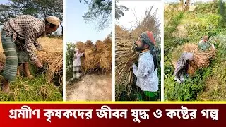 গ্রামীণ কৃষকদের জীবন যুদ্ধ ও তাদের কষ্টের গল্প stories ruposhitv