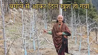 काफी समय बाद बगीचे आना हुआ और आते ही दिल खुश हो गया || Pahadi Lifestyle Vlogs @harsilvlogs4243 ❤️