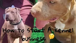 How to start a dog kennel business (7 basic tips)