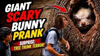 Giant Scary Bunny Surprise: Tree Trunk Terror!
