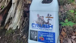 Testing: Ani Logics Crush Wild Berry Liquid