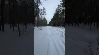 SKI-DOO Freeride 146 800 ETEC