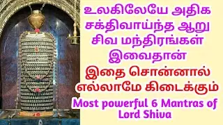 உலகிலேயே அதிக சக்திவாய்ந்த ஆறு சிவ மந்திரங்கள் இவைதான், இதை சொன்னால் எல்லாமே கிடைக்கும்