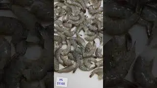 Shorts#Head less VANNAMEI Shrimps 🦐🦐🦐🦐Seafood products