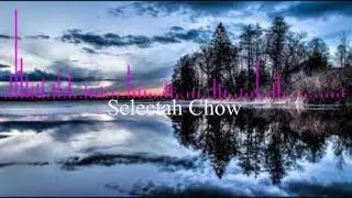 Selectah Chow - Bad Gyal Tunes Mix