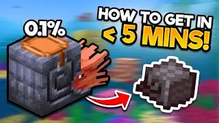 Ultimate Guide to the Nautilus In 