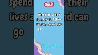Quiz - Study with Melya #shorts #study #studyinspiration #studywithme #studywithmelya #quiz