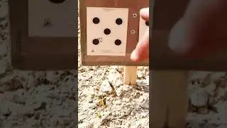 Всё дело в названии 😀 Пневматическое ружьё Brocock Airguns Concept Lite &mdash; это тактический зверь.