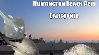 Fishing off the peir 