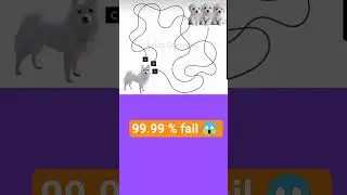 🤔bataw ye doggy ko konsa rashta bacho tak leke jayega🤔❓ #criticalthinking #braingame #viral #shorts