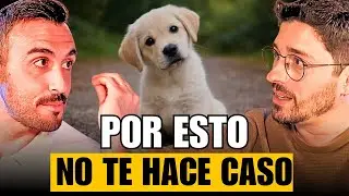 El ERROR N&ordm;1 al Educar a tu PERRO | Campe&oacute;n Mundial de Obedicencia Andreu Fern&aacute;ndez (NADOG)