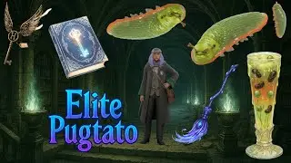 Juicing Leeches and Finding Secrets in Hogwarts Legacy 
