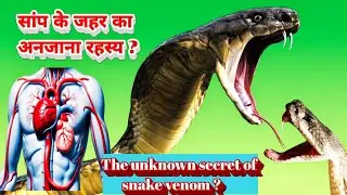 सांप के जहर का अनजाना रहस्य|The unknown secret of snake venom|fact|fact in hindi #factsvideo