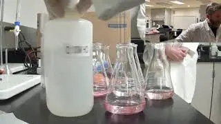 Antacid Analysis