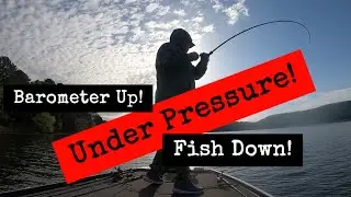Fishing High Barometric Pressure days! Where do Bass go? Locate & Target these fish!