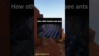 Imperium of Ant