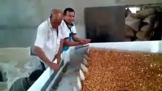 Hulled Almond Screen Cleaning Site 2