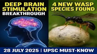 🧠 Deep-Brain Stimulation Breakthrough  🦟 4 New Wasp Species Discovered  Current Affairs 28 July 2025