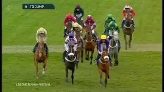 2015 Neptune Investment Management Novices' Hurdle - Cheltenham Festival