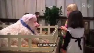 TROLL TRẺ EM