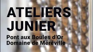 Les ateliers Junier, artisans du Pont aux Boules d'Or de Méréville