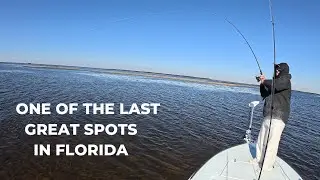 Florida Redfish and Trout Fishing