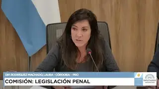 COMISIÓN COMPLETA: LEGISLACIÓN PENAL - 30 de septiembre de 2025 - Diputados Argentina