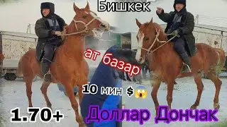 18-Январь ДОНЧАК СООДАСЫ КЫЗЫП 10 МИН $ ДОЛЛАР ДЕДИ БИШКЕК ЖЫЛКЫ БАЗАР 