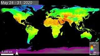 Global Land Surface Temperature from 2020 as observed by NASA's Terra MODIS Instrument