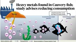 &ldquo;Heavy Metals in Cauvery River Fish Explained | UPSC Current Affairs | Pollution & Health Risks&rdquo;