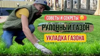 РУЛОННЫЙ ГАЗОН | Секреты, советы и укладка ГАЗОНА | Компания 