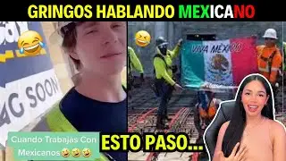 GRINGOS HABLANDO MEXICANO NO PODRÁS PARAR DE REÍR 🇲🇽🤣 TODO SE SALE DE CONTROL