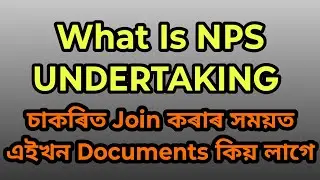 Что такое документ о приеме на работу NPS?