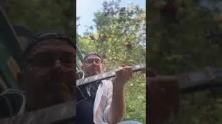 Rowan Tree Blues (Windy Wednesday)  #SeptemberShorts