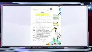 Class-1-English-ch-13-The Crane and the Crab