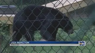 Mobile Zoo makes changes after USDA visit