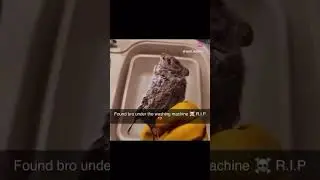 Top 8 Facts That Will Blow Your Mind