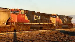 CN G886 Pulling Out of Dewey Long Hood Forward!