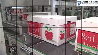 Lorenz Pan - the specialist in palletizing: Vom Layout zur Palette - From layout to pallet!