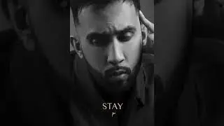 The PropheC | Stay | Full Audio | Midnight Paradise