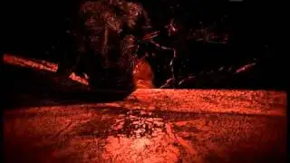Dakota - Koolhaus