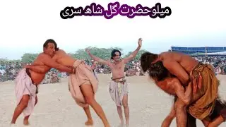 میلو حضرت گل شاھ سری maklitv