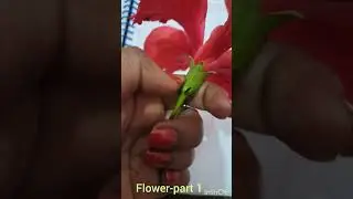 what is flower 🌼 🌸 🌻 # science # botany #allcompetitiveexams #youtube #morphologi of flower #part 1