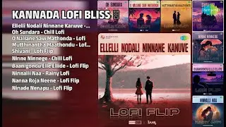 ಕನ್ನಡ ಲೋಫೈ ಹಿಟ್ಸ್ | SPECRO X SKETCH Songs | Ellelli Nodali Ninnane Kanuve  Lofi Flip